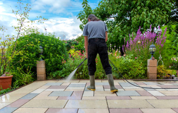 Best Driveway Pressure Washing  in Angleton, TX